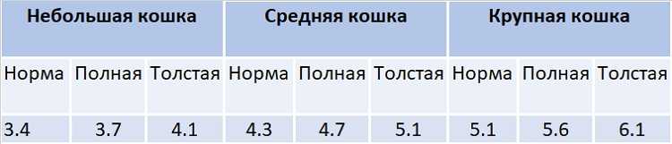 Вес котенка от рождения до года по месяцам. все породы