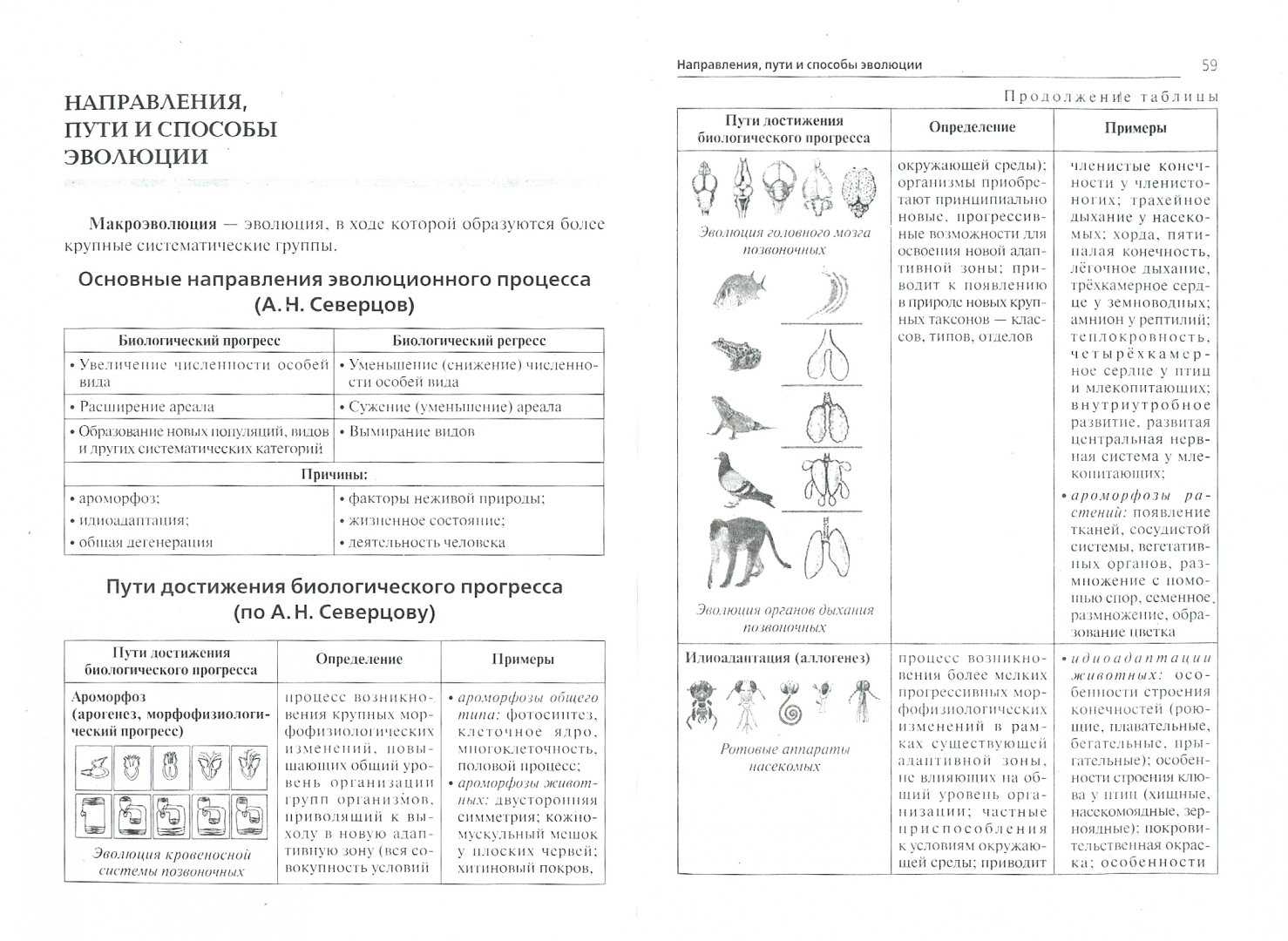 Метаморфоз насекомых. полный и неполный