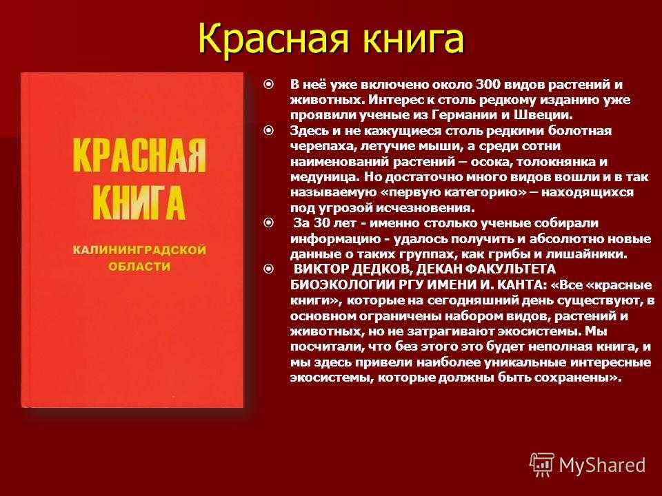 Презентация флора и фауна калининградской области  доклад, проект