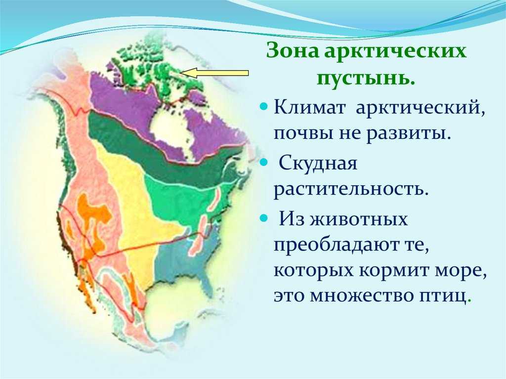 Климат северной америке: особенности, климатические пояса, карта и таблица