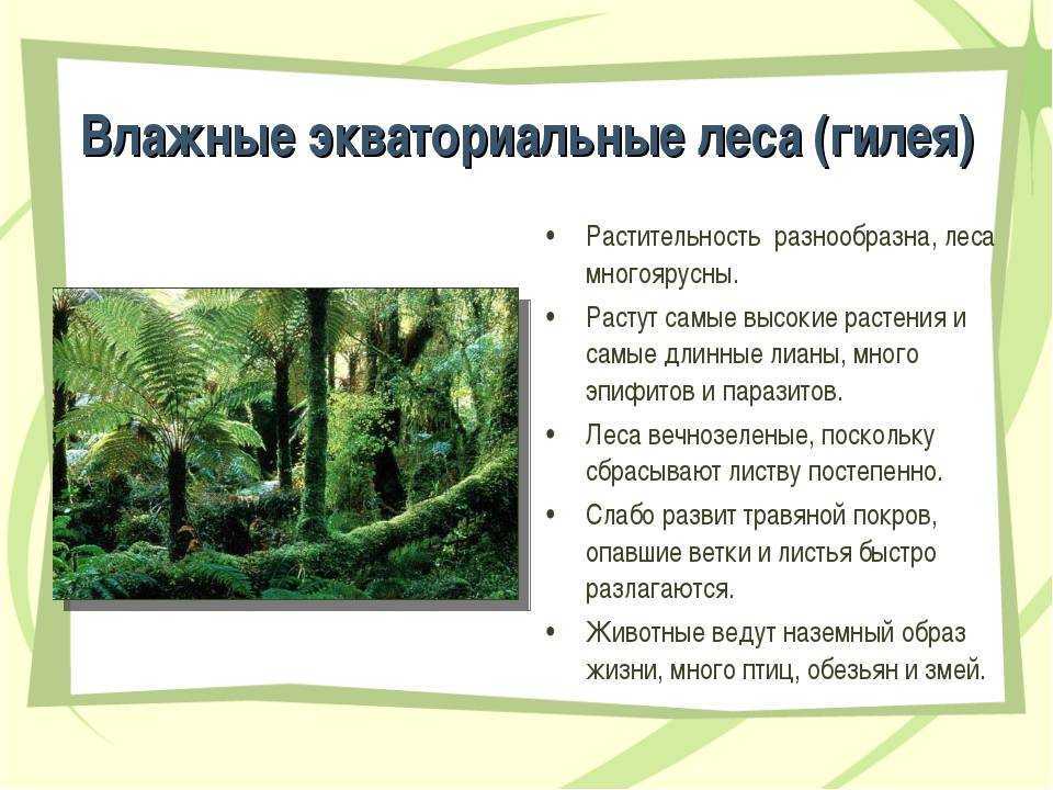 Особенности климата в пустыне: умеренных, тропических и субтропических широт