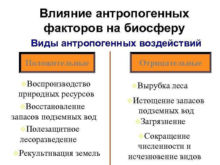 Биосфера и человек