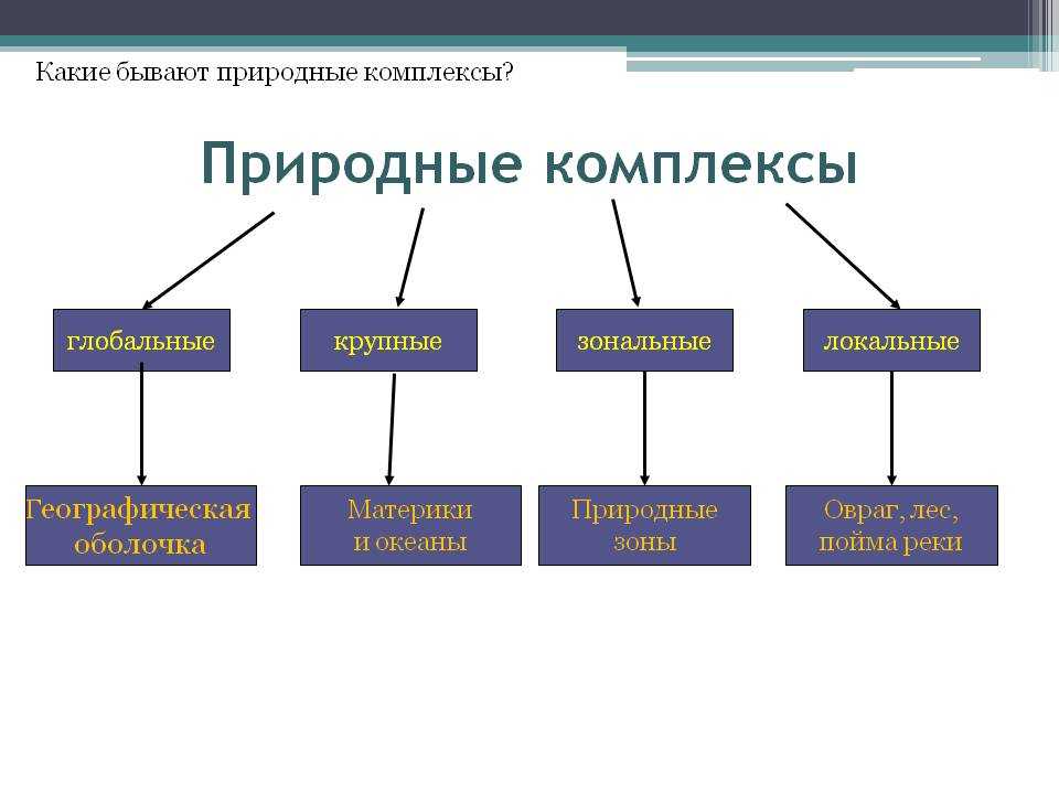 По ⭐ какой причине возникает зональность: в чем проявляется, чем обусловлена, факторы