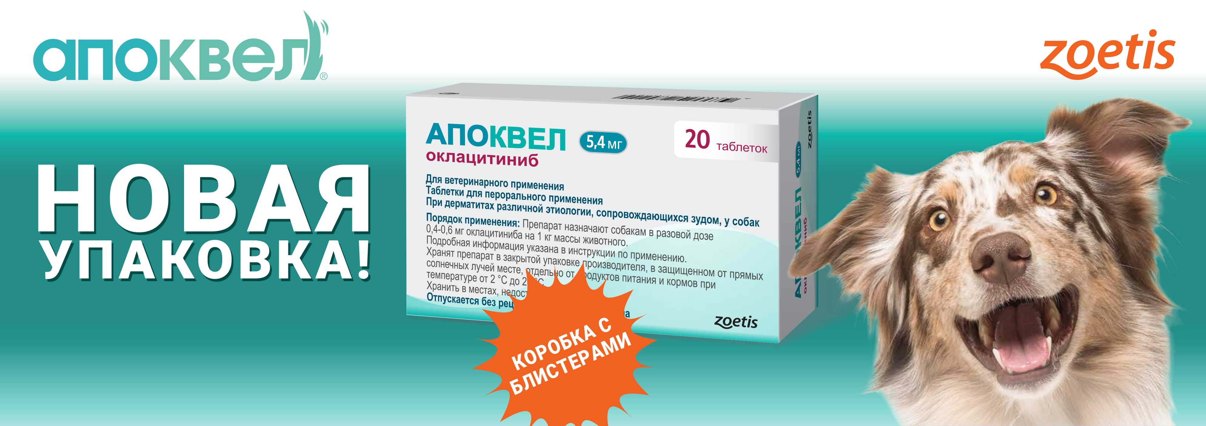 Укол собаке: как делать внутримышечно и подкожно в холку и бедро