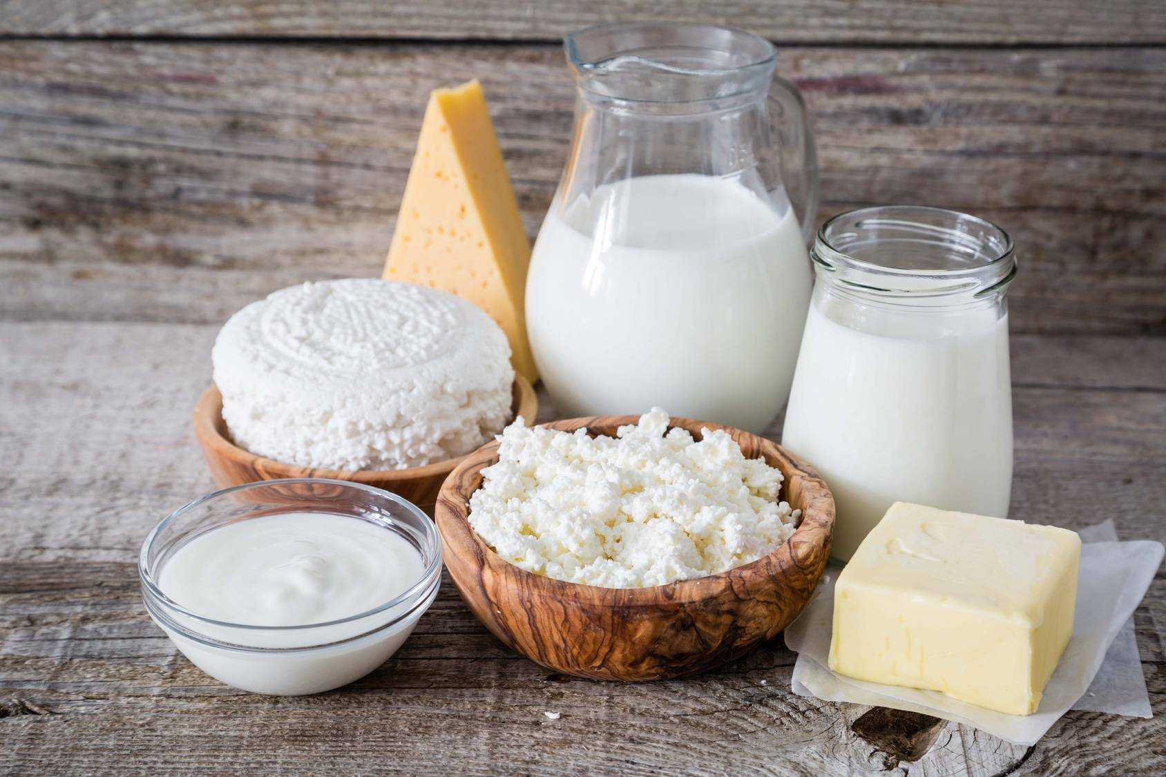 Молоко и молочные продукты в рационе собаки