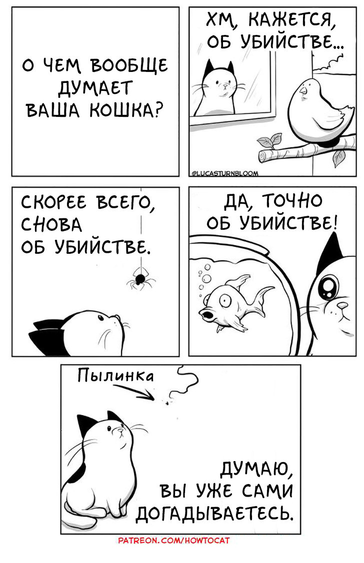 Что кошка думает о человеке, своём доме и мире в целом.