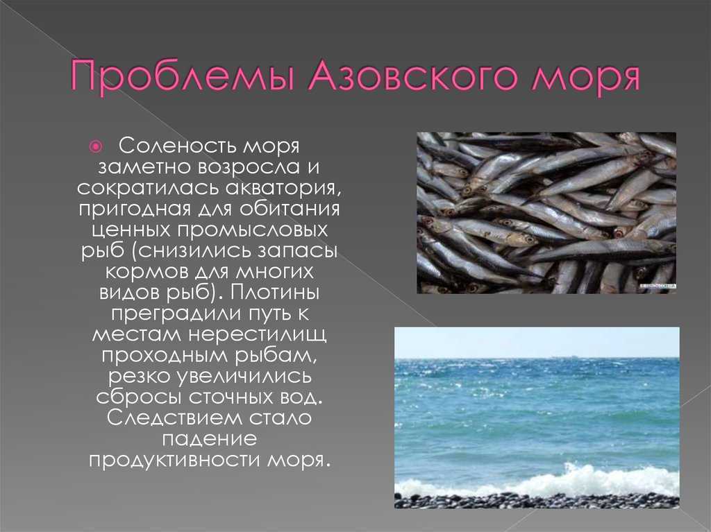 Экологические проблемы азовского моря кратко