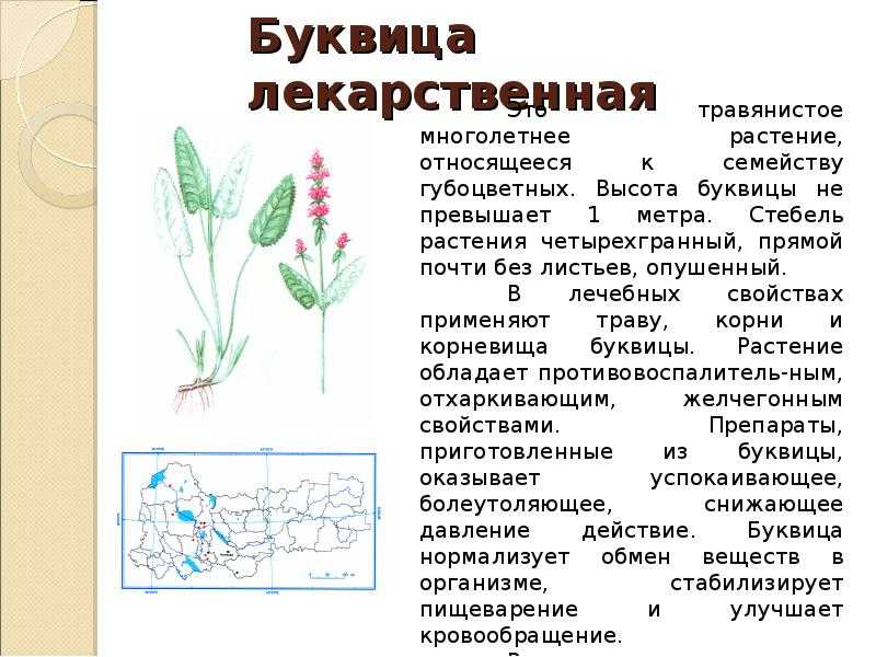 Красная книга вологодской области
