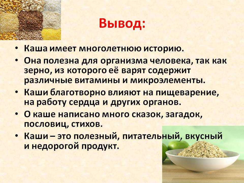 Какие крупы можно и нельзя давать собакам крупных и мелких пород, какую можно варить