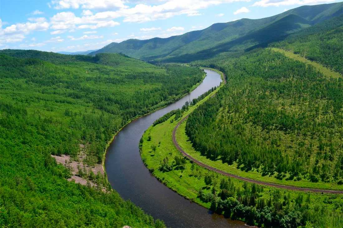 Экологические проблемы реки амур кратко