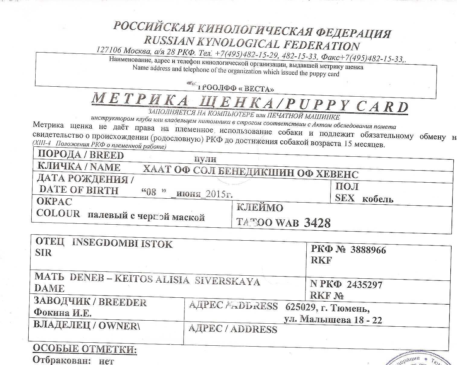 Документы на собаку: какой комплект должен быть у породистого щенка - многопородный клуб «суперминики»