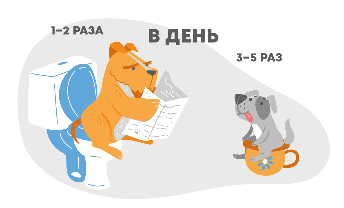 Запор у собаки