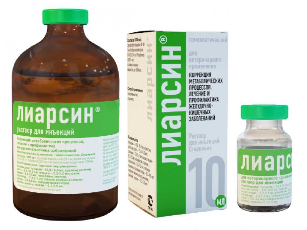 Как усыпляют кошек в домашних условиях – эвтаназия в клинике