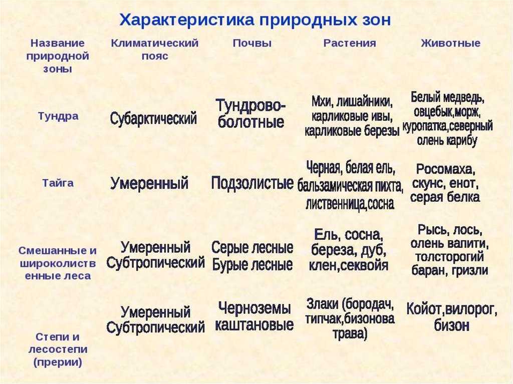 Особенности тайги
