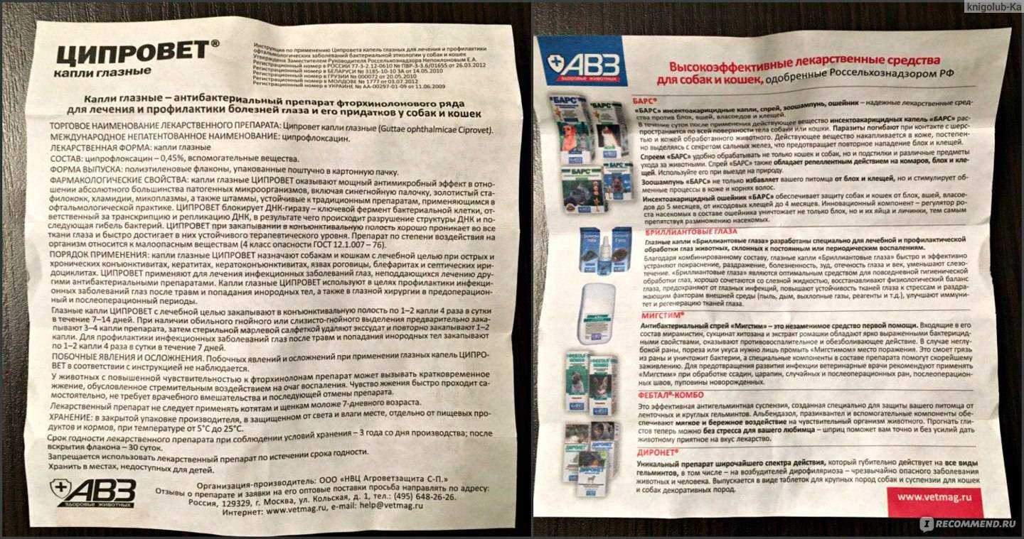 Глазные капли ципровет – инструкция по применению для собак и кошек