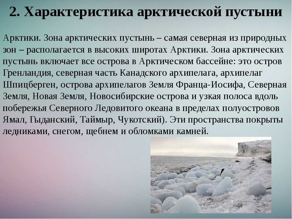 список растений Тихого, Северно Ледовитого, Индийского и Атлантического океана Растительный мир океанов