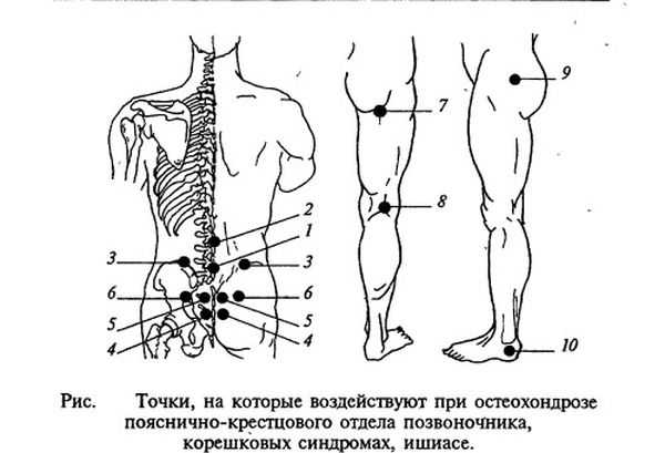 Как делать массаж задних ног собаке?