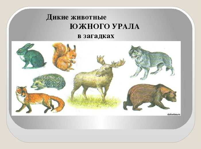 Красная книга урала: уникальные виды животных и растений