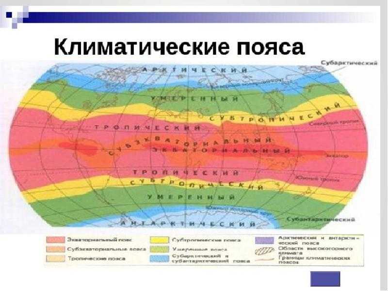 Что лучше тропики или субтропики. чем отличаются тропический и субтропический климат