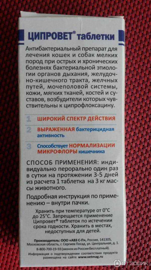 Ципровет для кошек: инструкция по применению в ветеринарии таблеток и глазных капель
