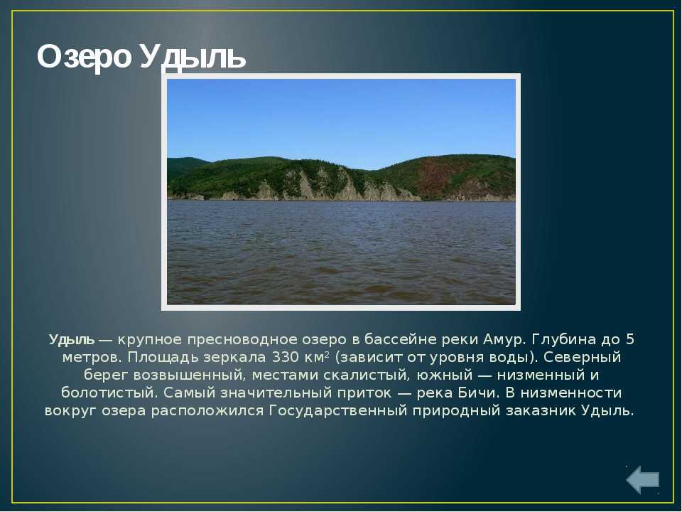 Обзор экологических проблем реки обь и действий по их устранению