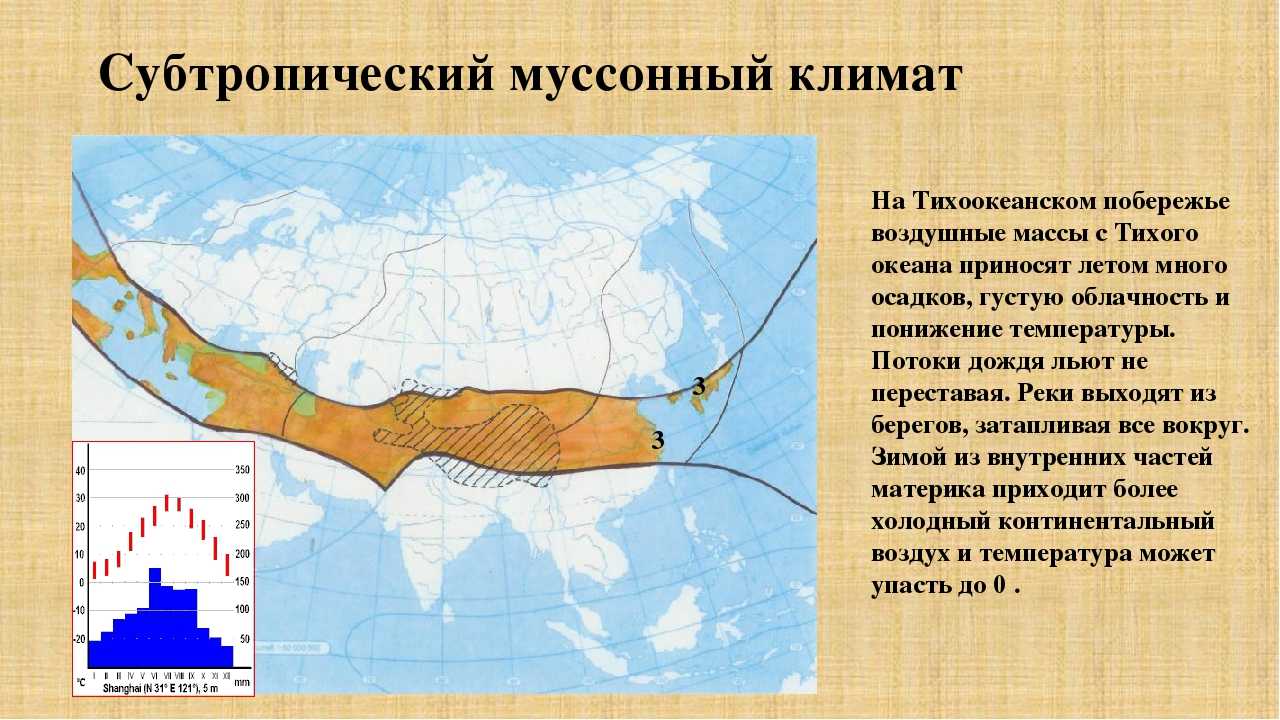 Особенности природных зон субтропического пояса