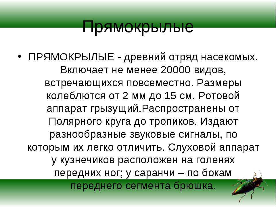 Прямокрылые [1977 дмитриев ю. - соседи по планете. насекомые]