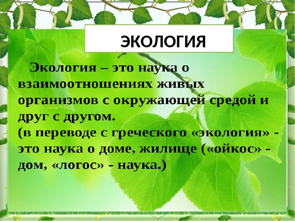 Экологические проблемы лесных зон в россии – кратко (4 класс, окружающий мир)