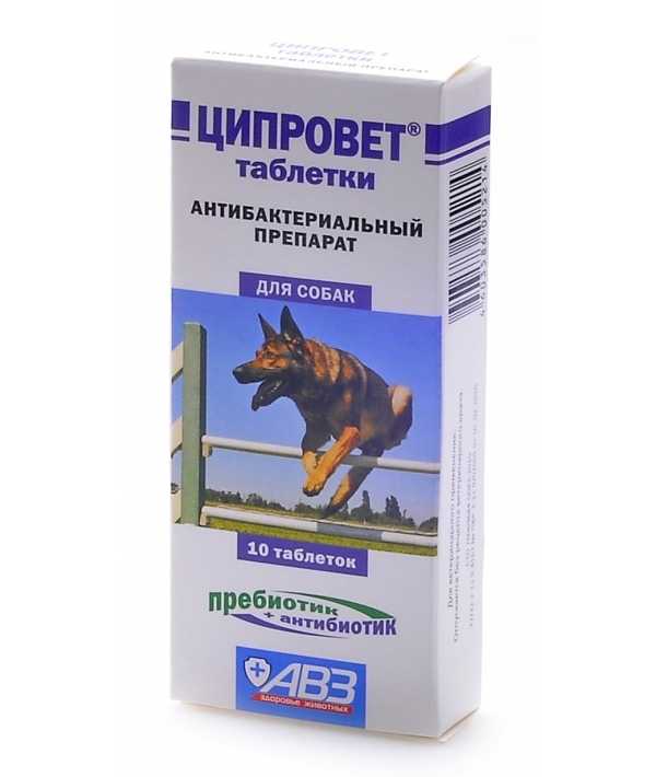 Ципровет для собак: подробное описание и инструкция по применению | звери дома