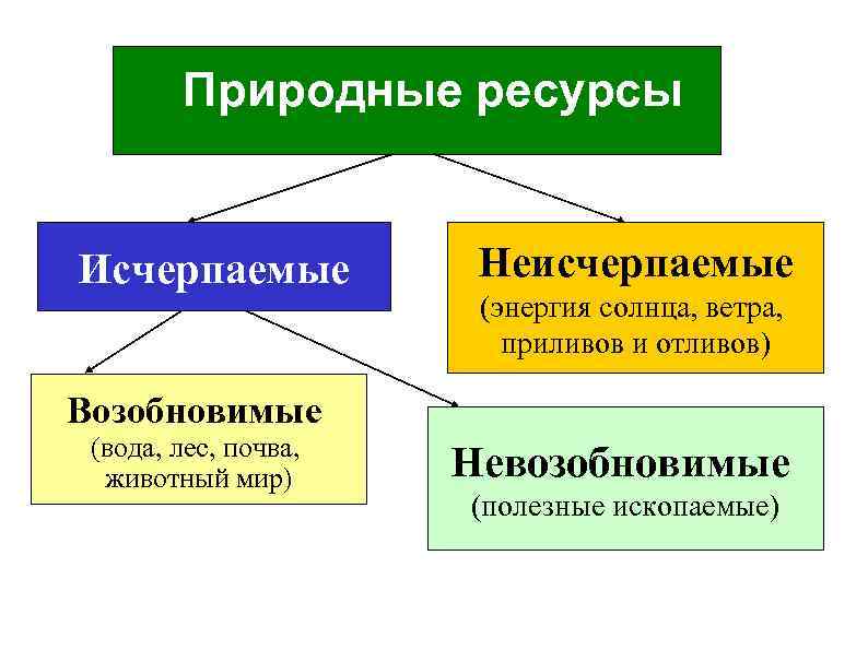 Исчерпаемые возобновимые ресурсы: определение и примеры