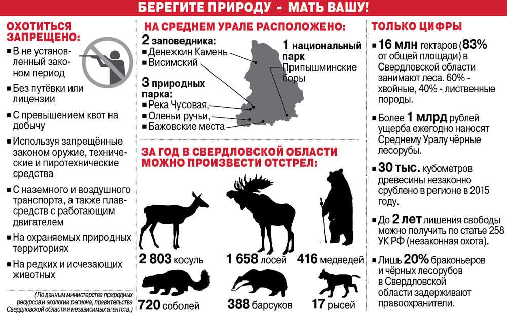 Экологические проблемы современной россии