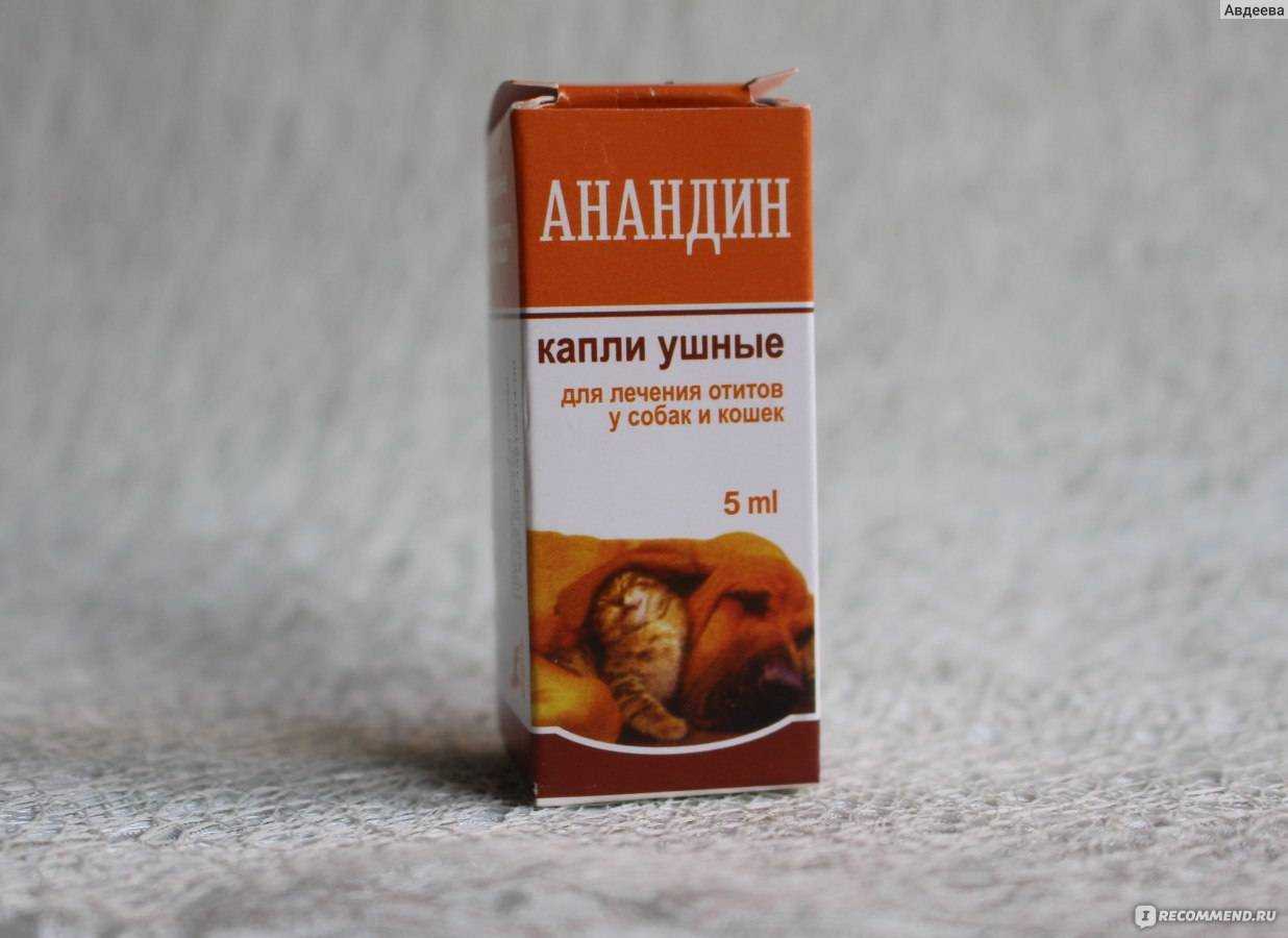 Инструкция по применению анандина у собак: форма выпуска в инъекциях и каплях, дозировка, отзывы