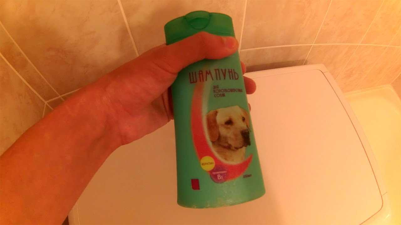 Можно ли мыть собаку мылом?