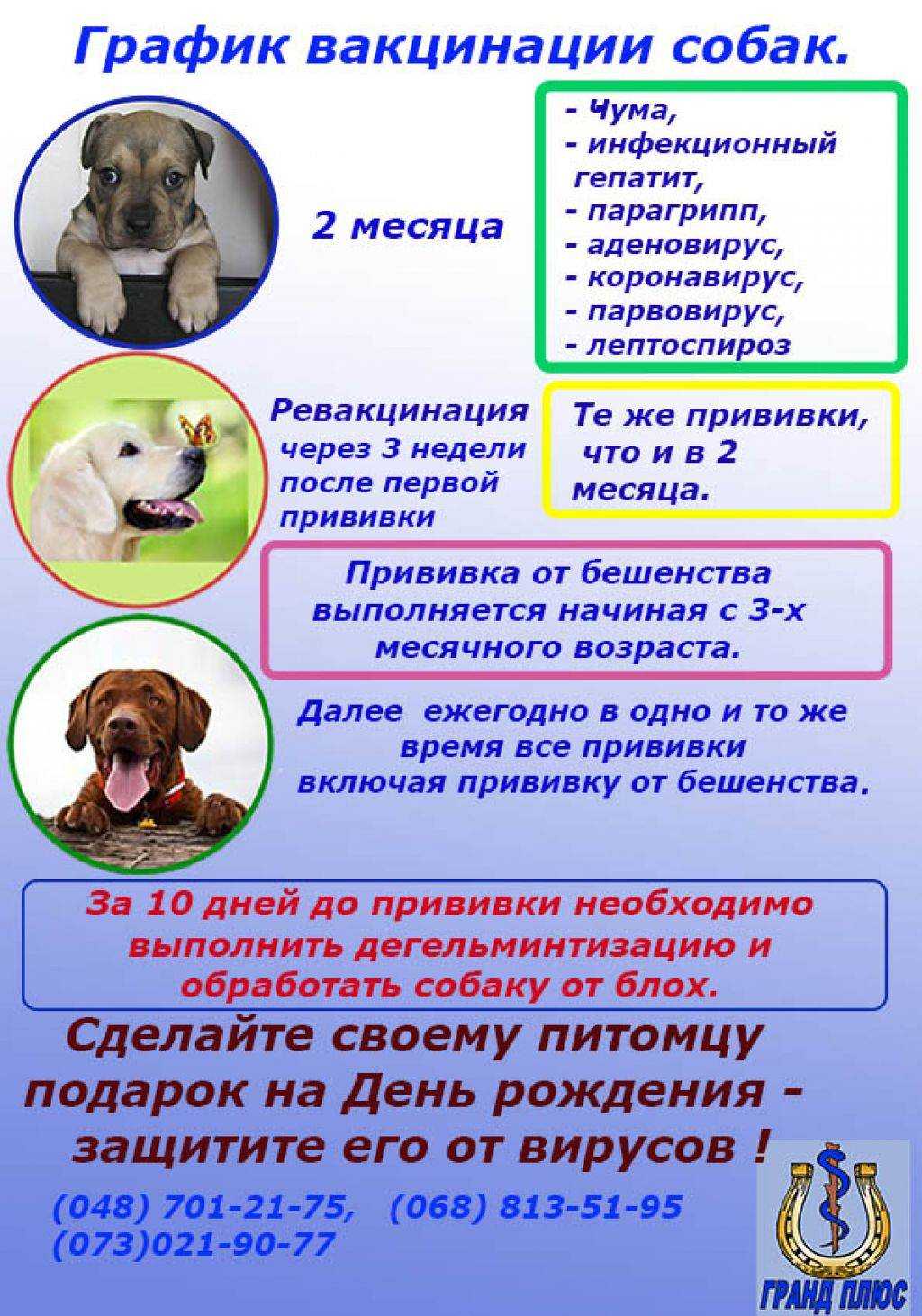 Пирантел для собак