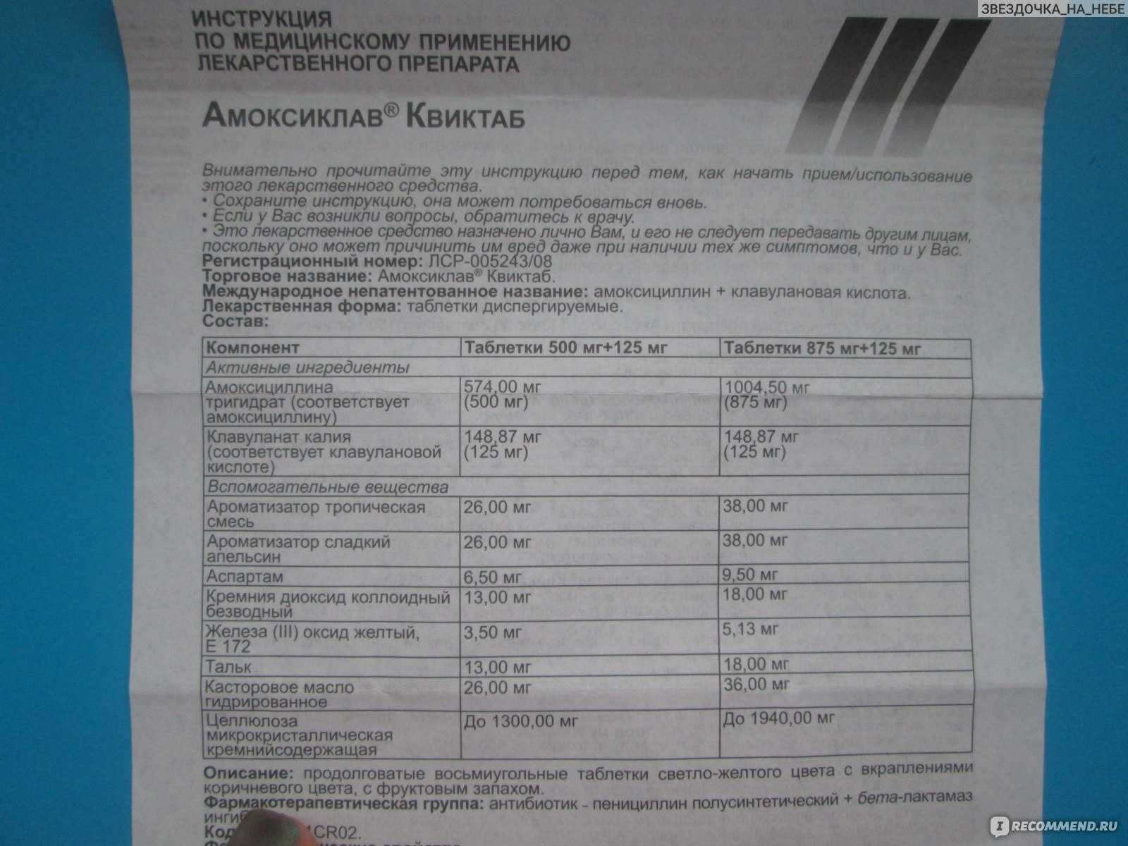 Цистит у собаки: симптомы и лечение дома
