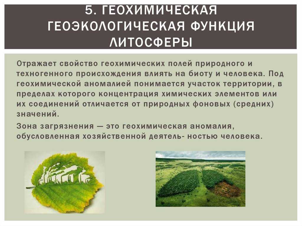 Экологические функции литосферы