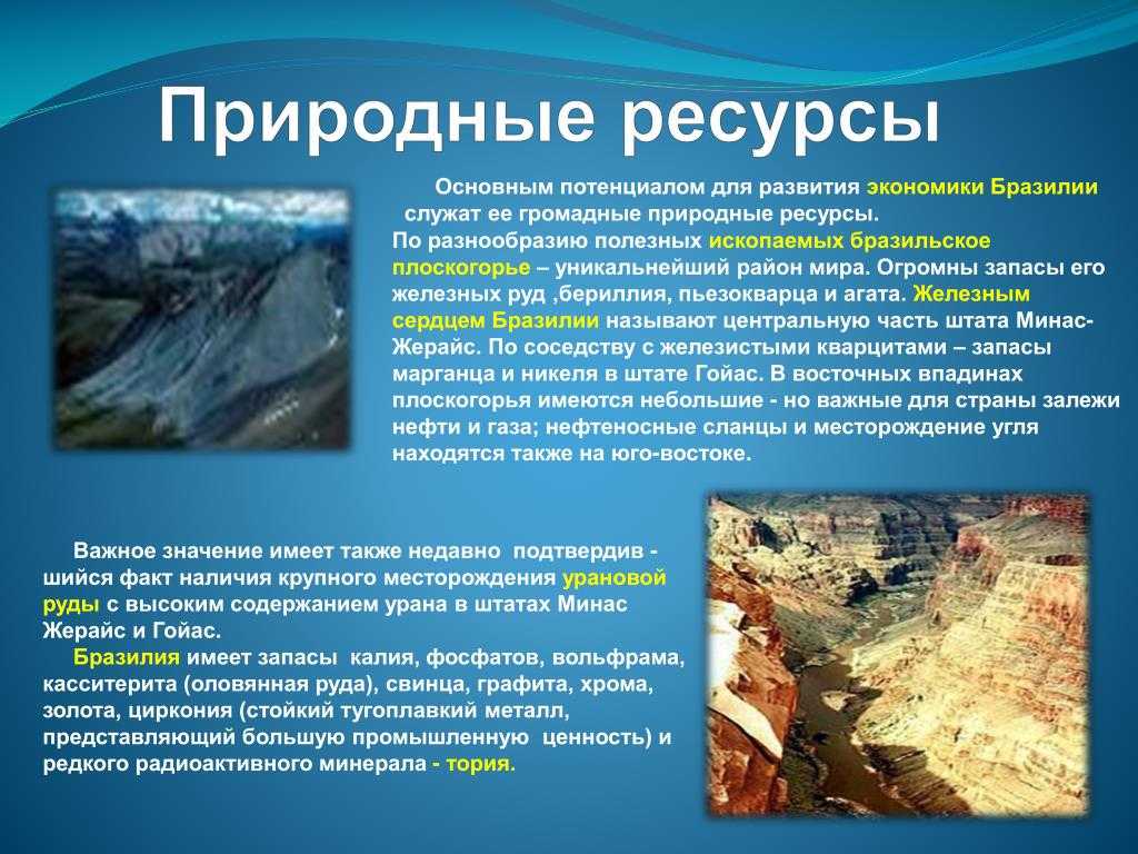 Глава 1. природно-ресурсный потенциал бразилии