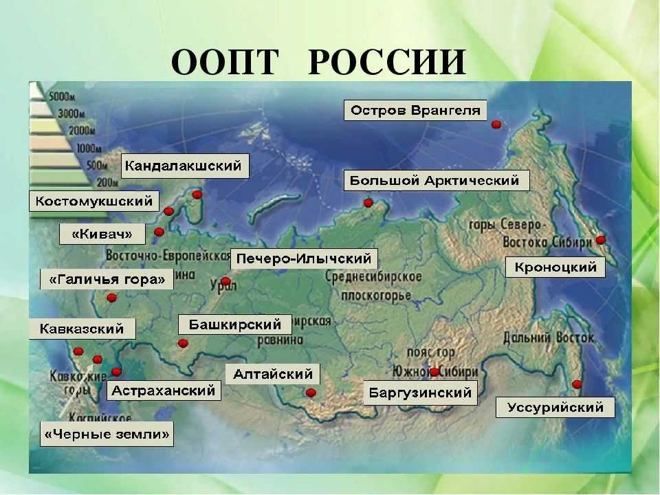 Урок 9: охрана природы в россии - 100urokov.ru