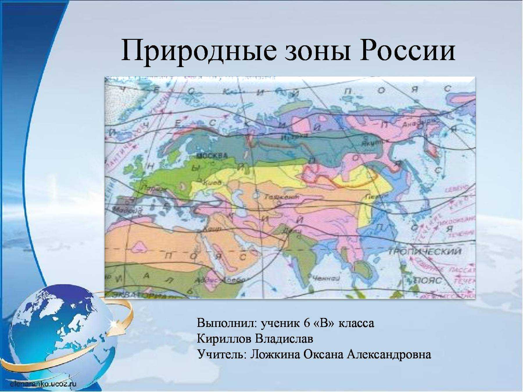 Лесная природная зона и ее характеристика