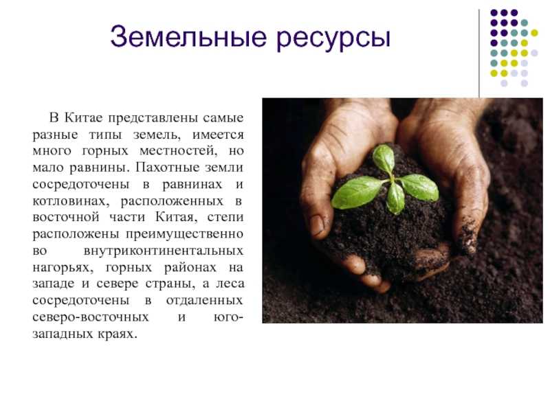 Природные ресурсы китая – список и самое главное кратко (7 класс, география)
