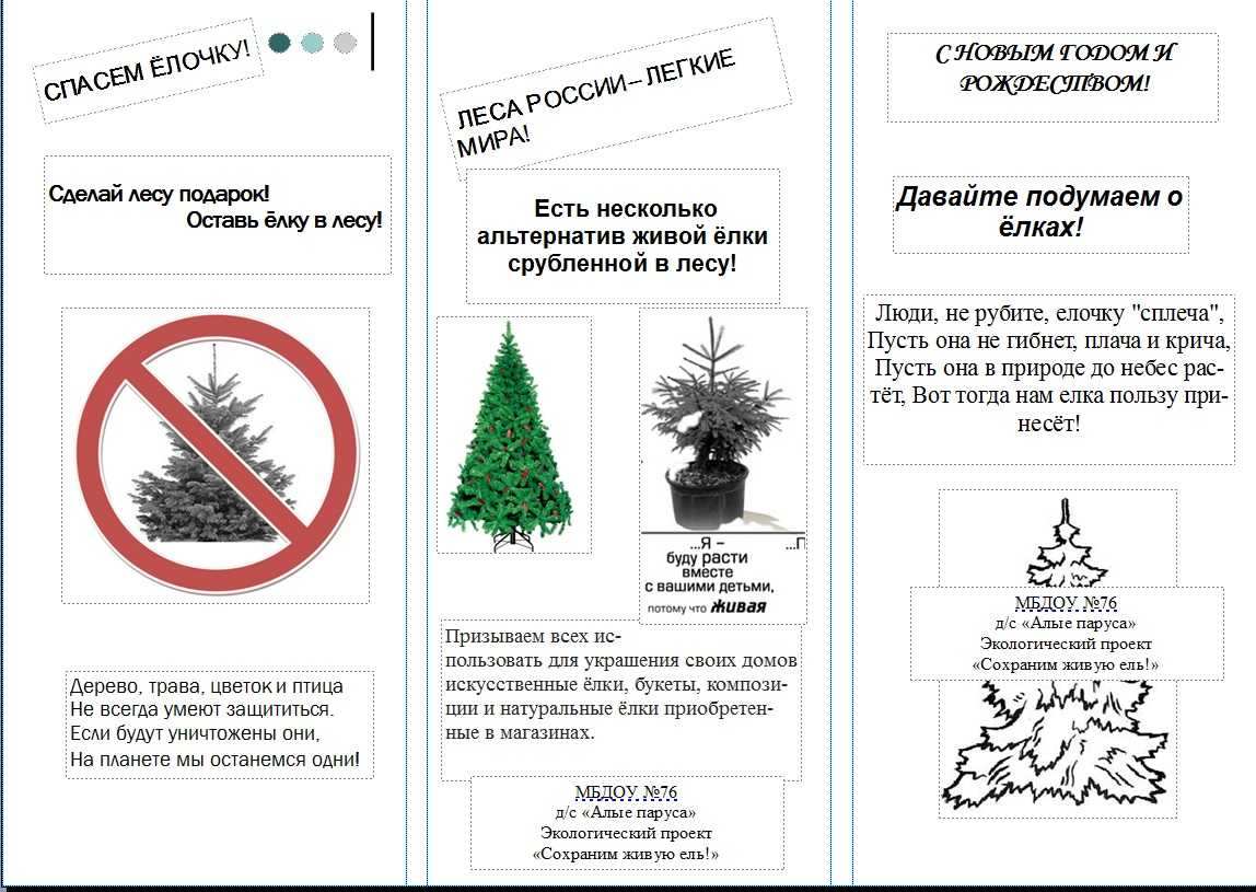 Ель черная: описание, посадка и уход, сорта