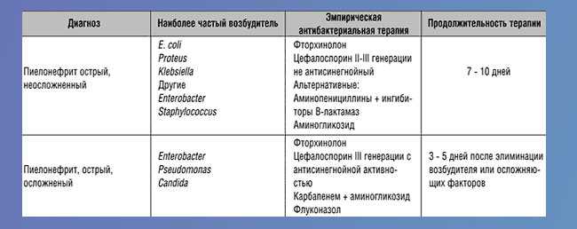 Пиелонефрит или гломерулонефрит у собак — о животных на чистоту