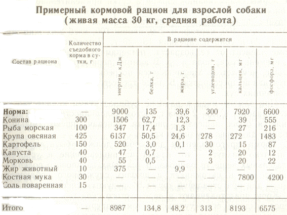 Всё о животных: как обычным пищевым желатином поднять ушки?