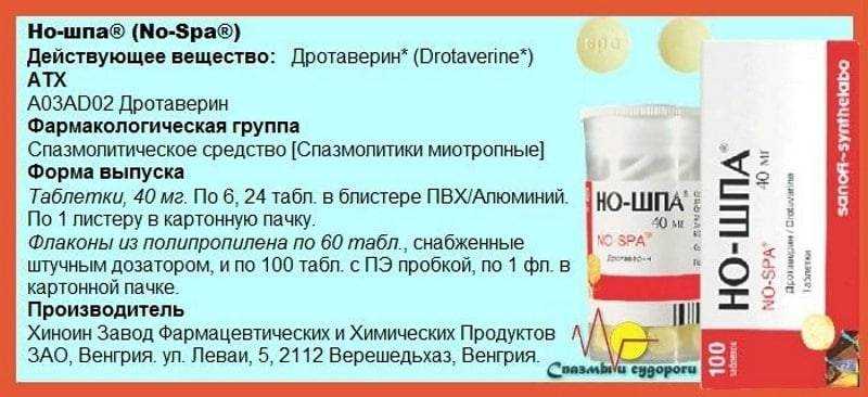 Ложная беременность у собак: симптомы, лечение, сколько длится, что делать - zoosecrets