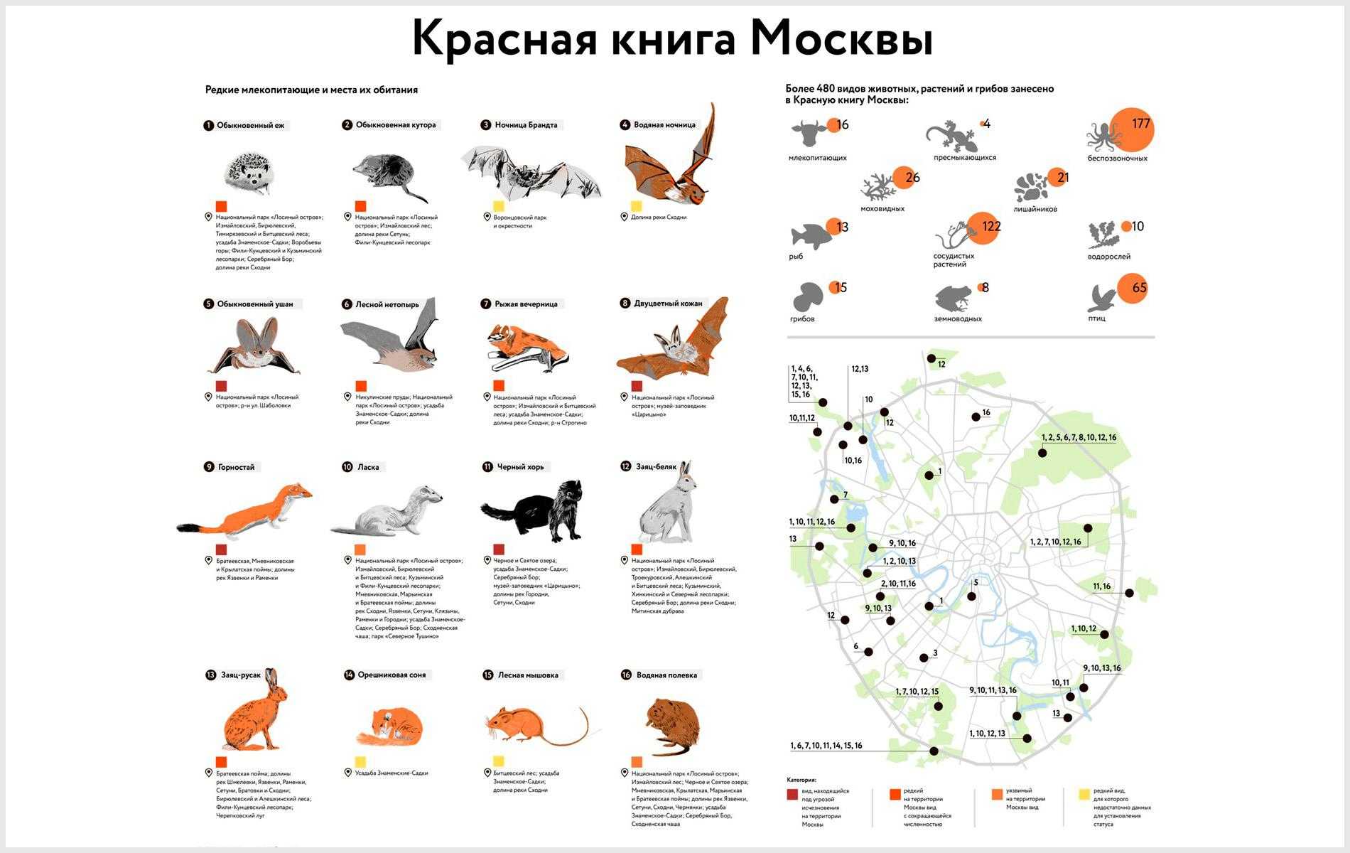 Охотничьи животные московской области