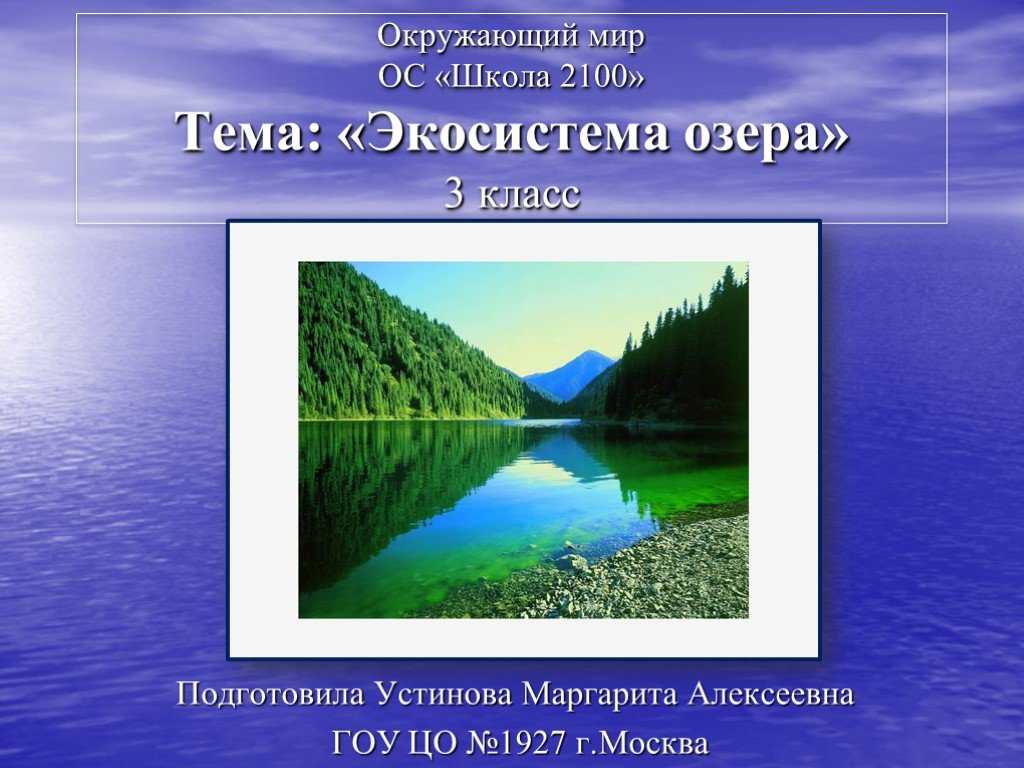 Джунгли амазонки