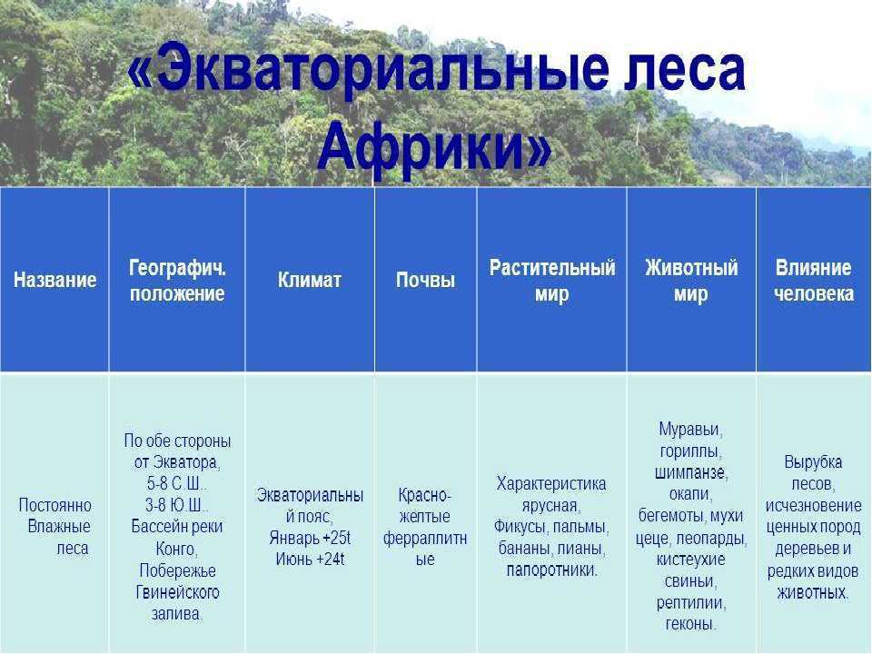 Саванна - описание и характеристики природной зоны, флора и фауна