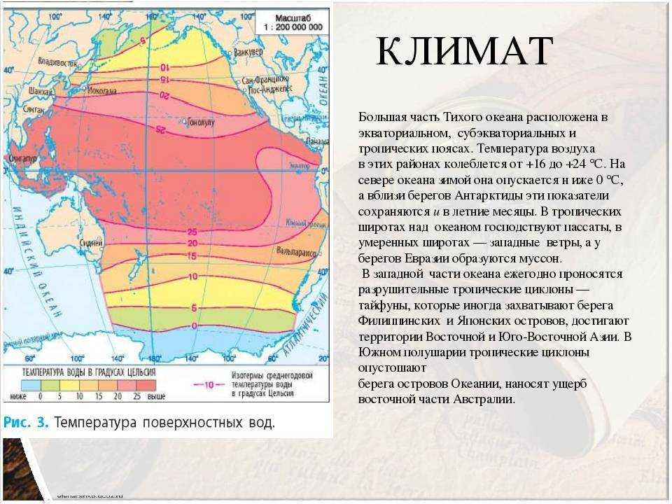 Доклад на тему атлантический океан