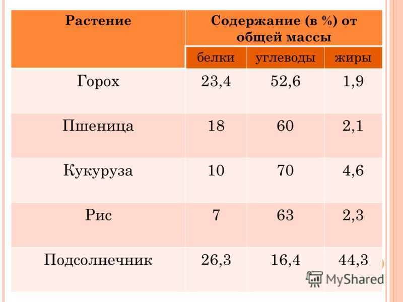 Какие овощи можно давать собакам?