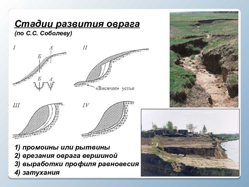 Как предотвратить образование оврага: 10 эффективных методов